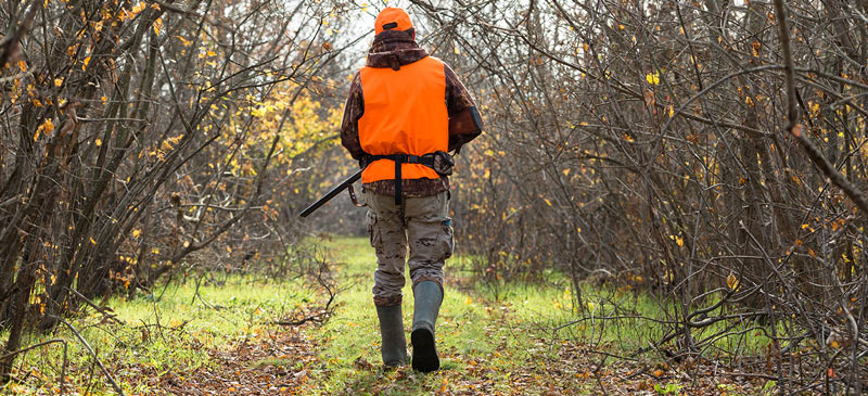 DIY Hunting in Idaho