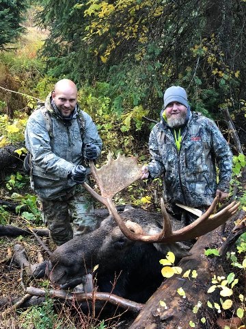 Moose Hunt Idaho