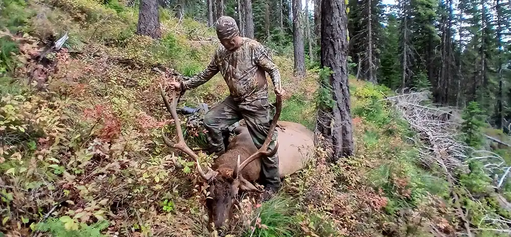 Archery Elk Hunt in Idaho